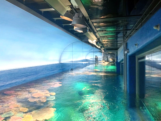 海遊館「グレート・バリア・リーフ」水槽等工事